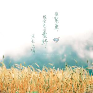 三年大片观看哔哩哔哩
